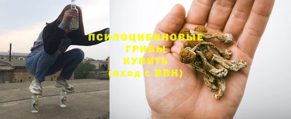 прущая мука Алексин
