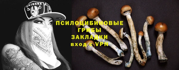молекула духа Алексеевка