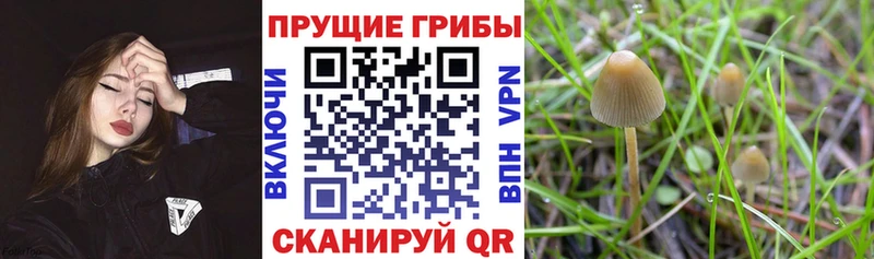 Галлюциногенные грибы ЛСД  Николаевск-на-Амуре 